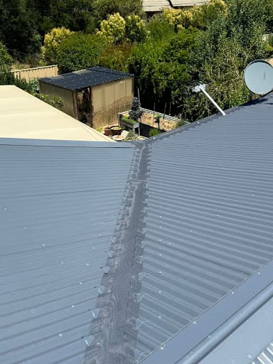 TCB Pest Control Canberra — Customer photo