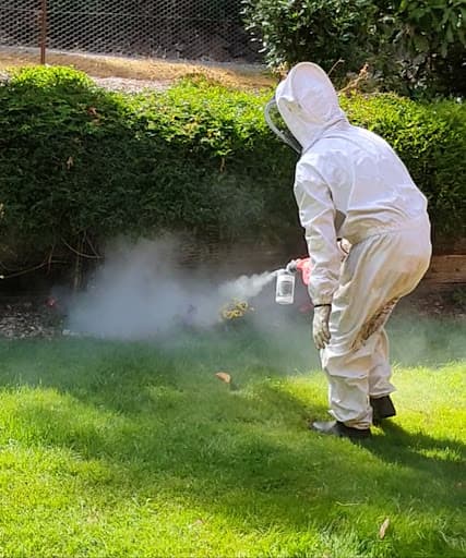 Pest Control Launceston — Customer photo