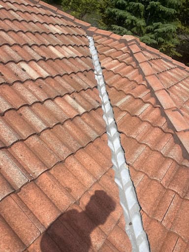 BugsPatrol Pest Management — Customer photo