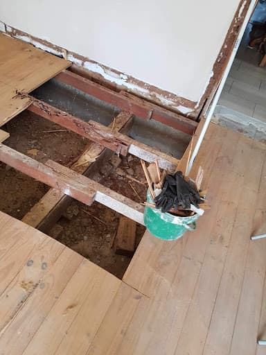 Hindmarsh Pest Control — Customer photo