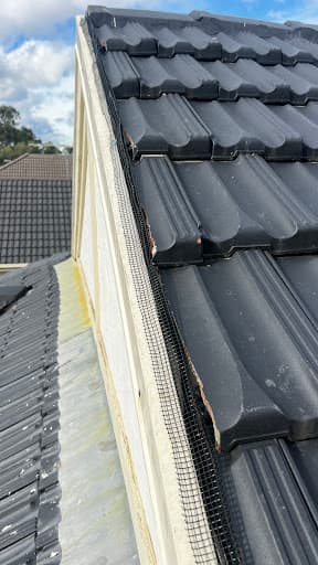 Tip Top Services pest control and bird control — Customer photo