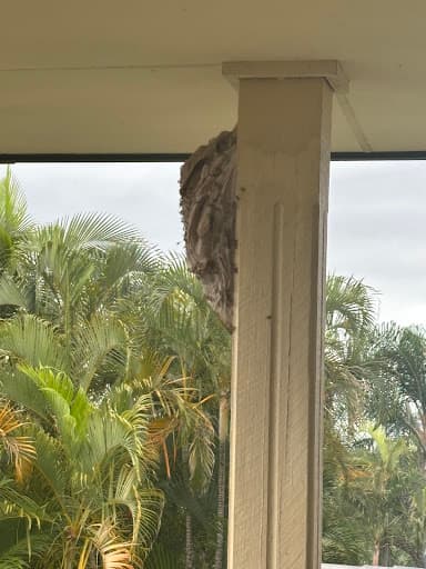 Control Pest Management Gold Coast — Customer photo