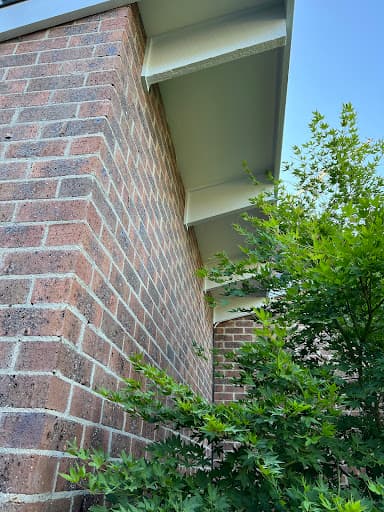 Insight Pest Solutions — Customer photo