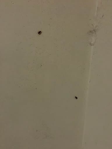 Greater Sydney Pest Control — Customer photo
