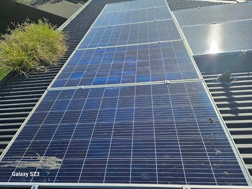 The X Bird Company-Bird Removal Sydney — Customer photo