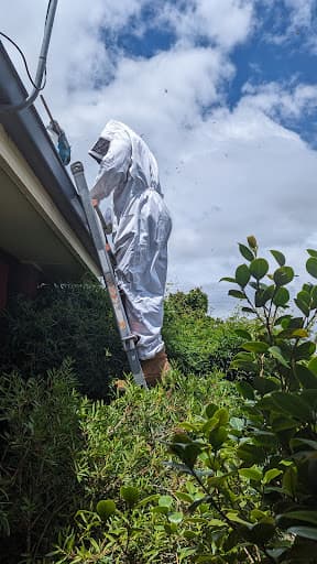 Orange Pest Control Services — Customer photo