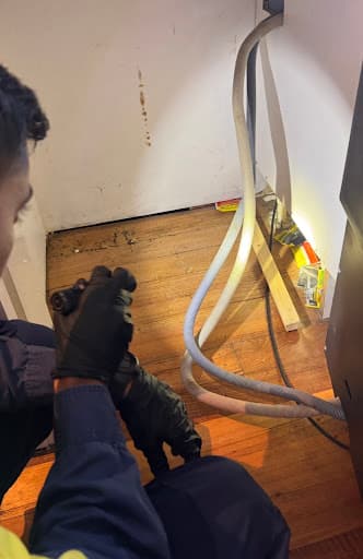 Pest Control Works — Customer photo