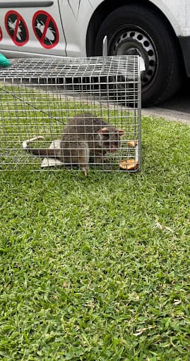 Zap It Pest Control Reservoir — Customer photo