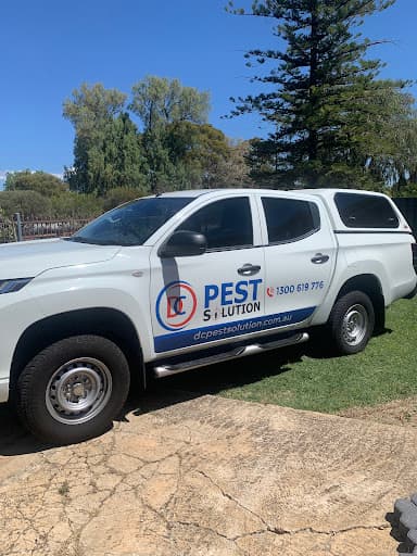 DC Pest Control Adelaide — Customer photo
