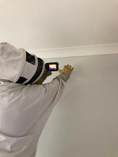 Enviro Safe Pest Control Melbourne — Customer photo