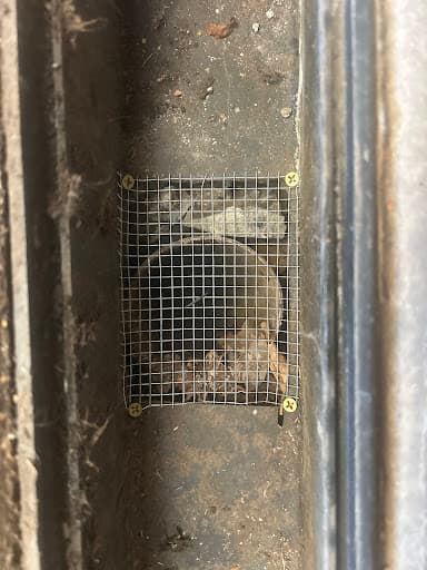 Pest Control Works — Customer photo