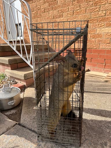 OZ PEST CONTROL CANBERRA — Customer photo