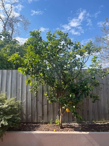 Probest Pest Control — Customer photo