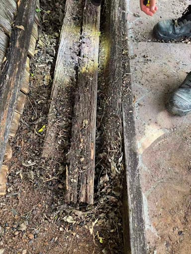 EPM Pest & Termite Control Brisbane — Customer photo