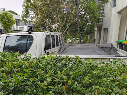 L&C Pest Management — Customer photo