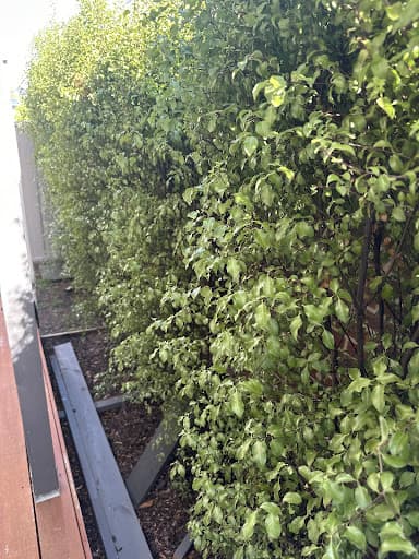 Zap It Pest Control Reservoir — Customer photo
