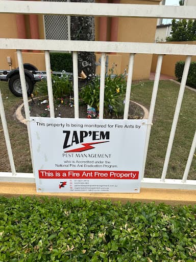 Zapem Pest Management Gold Coast — Customer photo