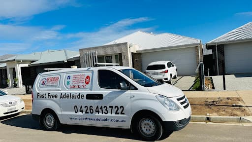 Pest Free Adelaide (Pest Control) — Customer photo