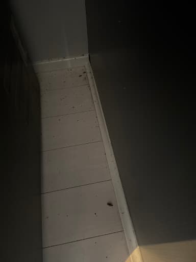 TermiteFree pest control — Customer photo
