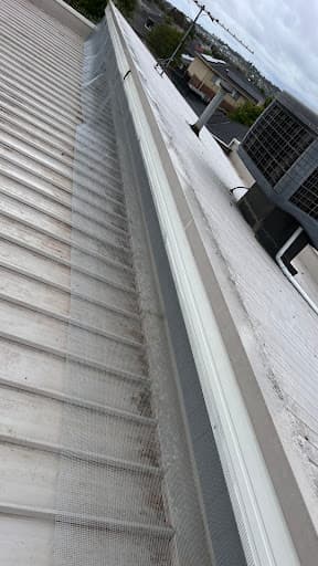 Tip Top Services pest control and bird control — Customer photo