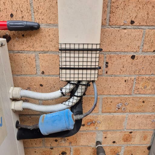 Flick Pest Control Sydney — Customer photo