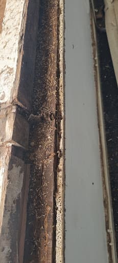 DC Pest Control Adelaide — Customer photo