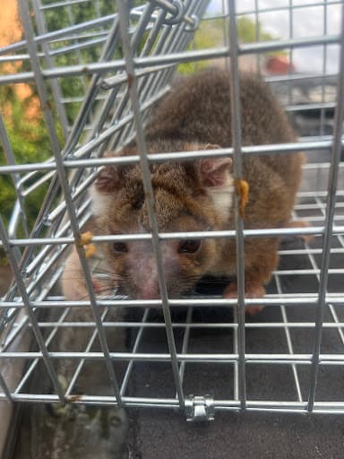 Zap It Pest Control Reservoir — Customer photo