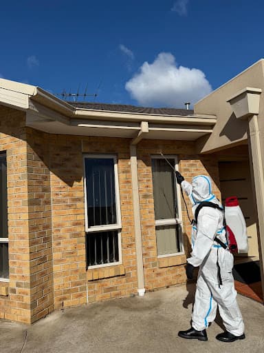 Melbourne Pest & Termite Solutions — Customer photo