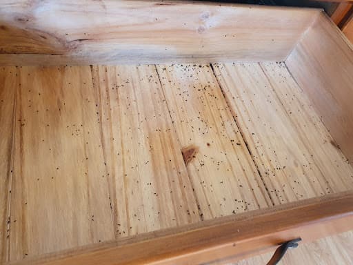 Mr Pest Controller Melbourne — Customer photo
