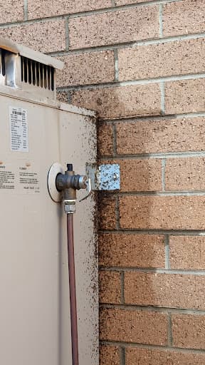 7 States Pest Control Melbourne — Customer photo