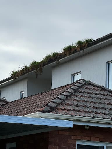 Killmore Pest Control Services Sydney — Customer photo