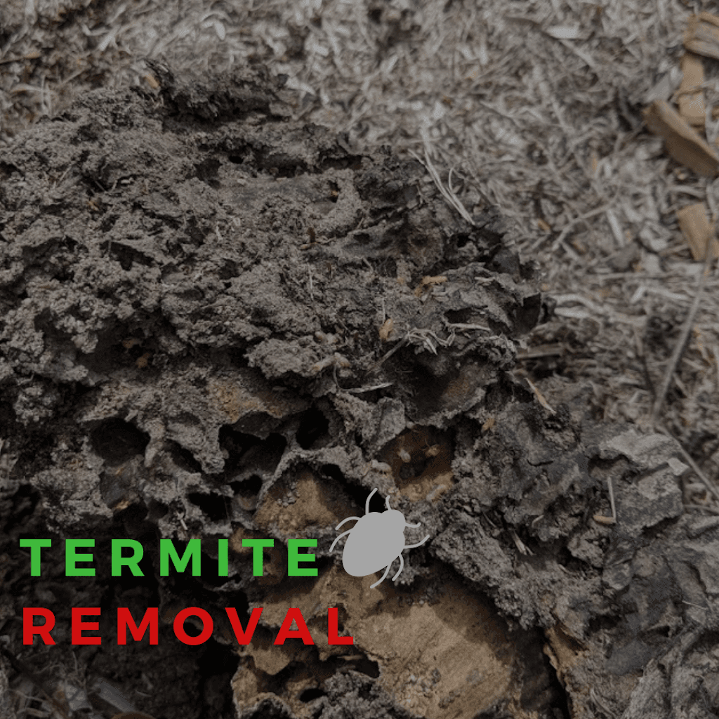 Response Pest Control