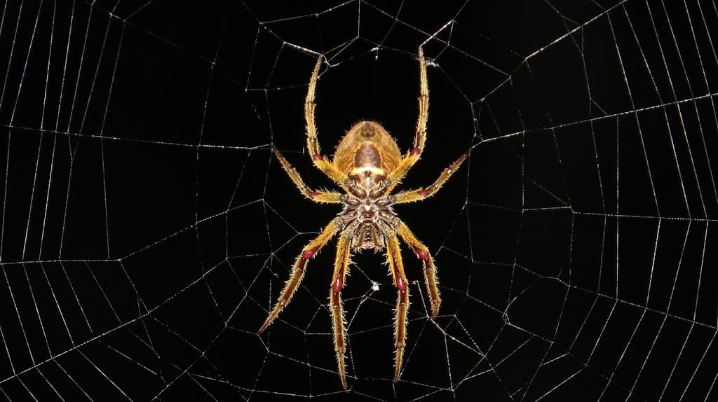 TS Pest Management
