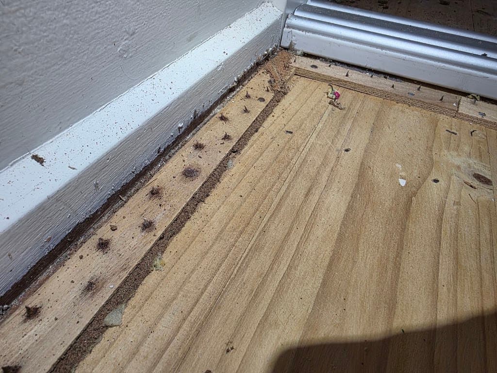 A1 Professional Pest Control