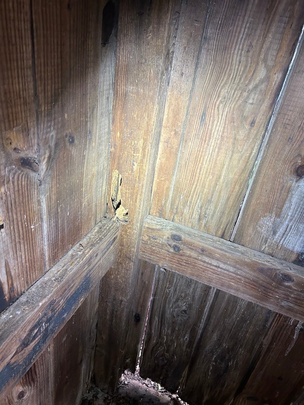 Allure Pest Solutions