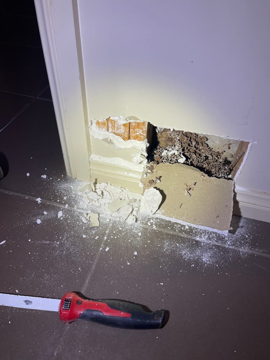 Don Watts Pest Control