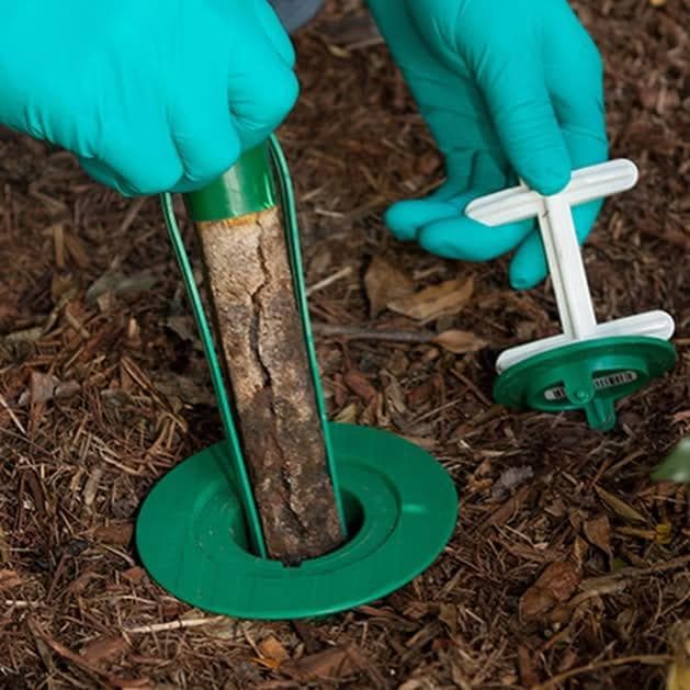 Natural Pest Control QLD