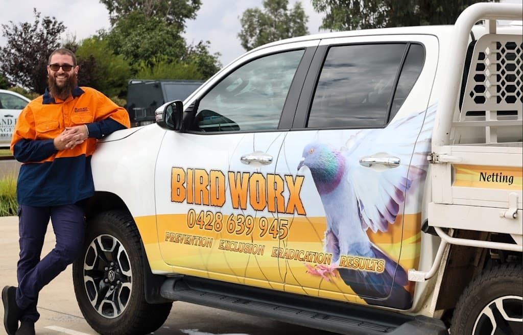 Birdworx
