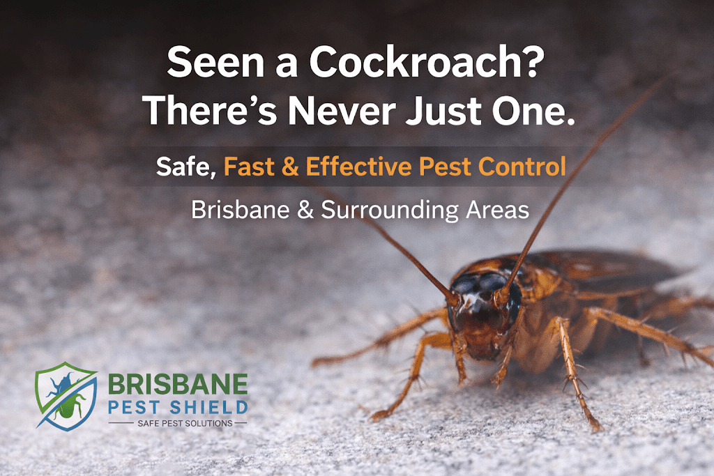 Brisbane Pest Shield