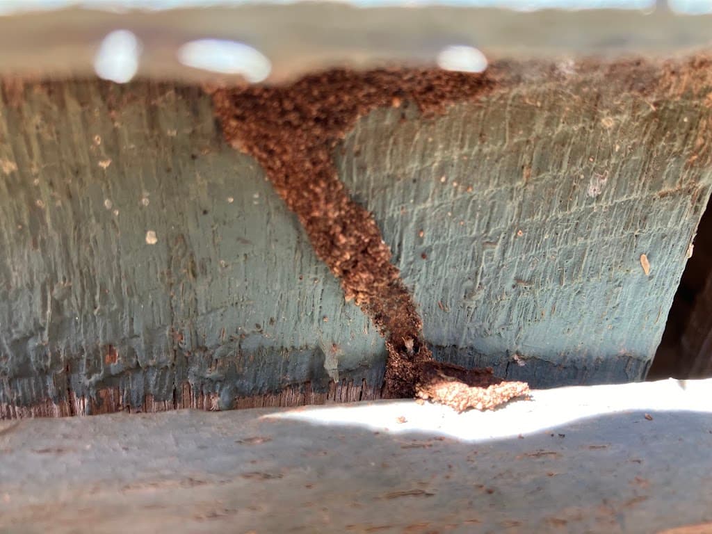 Murray Outback Pest