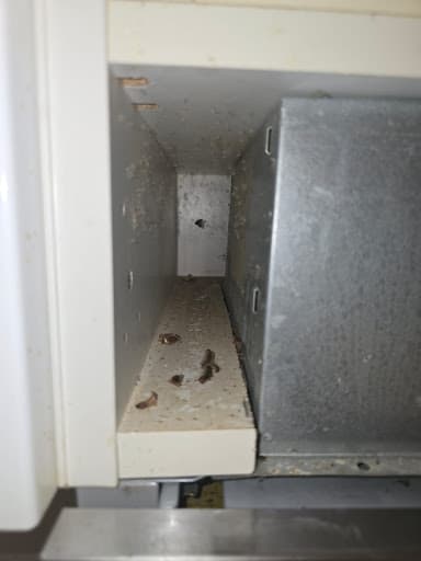 24 Hour Pest Control Sydney - Reliance Pest Management — Customer photo