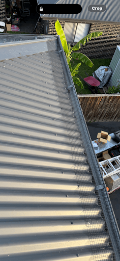 BugFree Pest Control — Customer photo