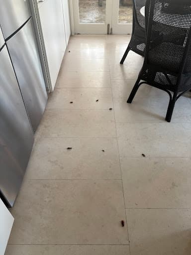 Competitive Pest Services — Customer photo