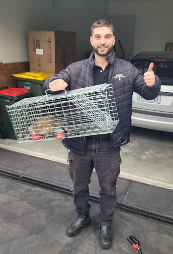 Zap It Pest & Termite Control Melbourne — Customer photo