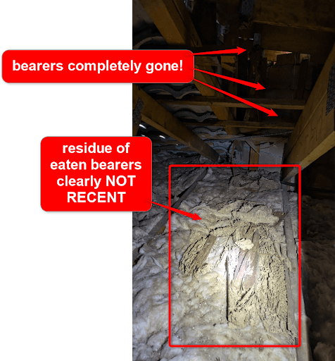 Viking Pest Control — Customer photo
