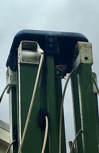 Knock Out Pest & Termite Control Illawarra Wollongong — Customer photo