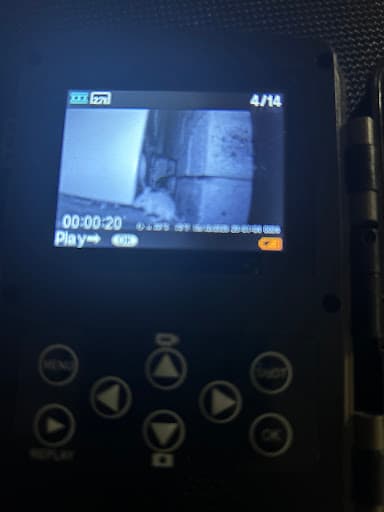 Extreme Termite and Pest Control — Customer photo