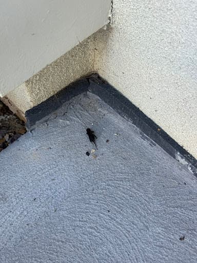 Tom's Pest Control Melbourne — Customer photo