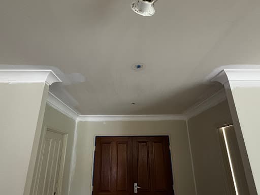 Tom's Pest Control Gold Coast — Customer photo