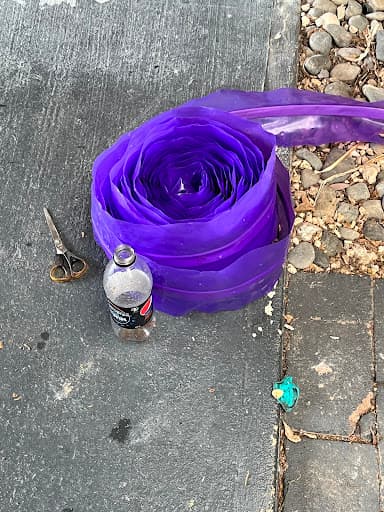 Complete Pest Control — Customer photo